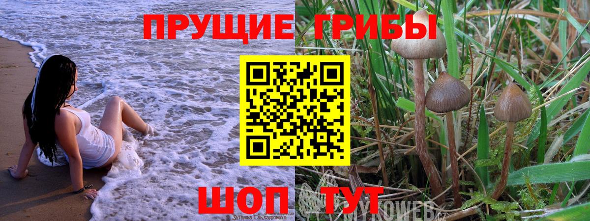 Галлюциногенные грибы GOLDEN TEACHER  Вход с VPN  Казань 